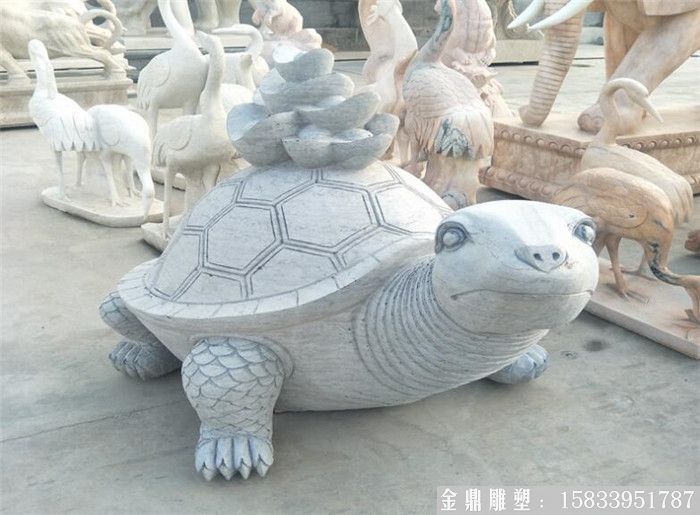 石雕龟6